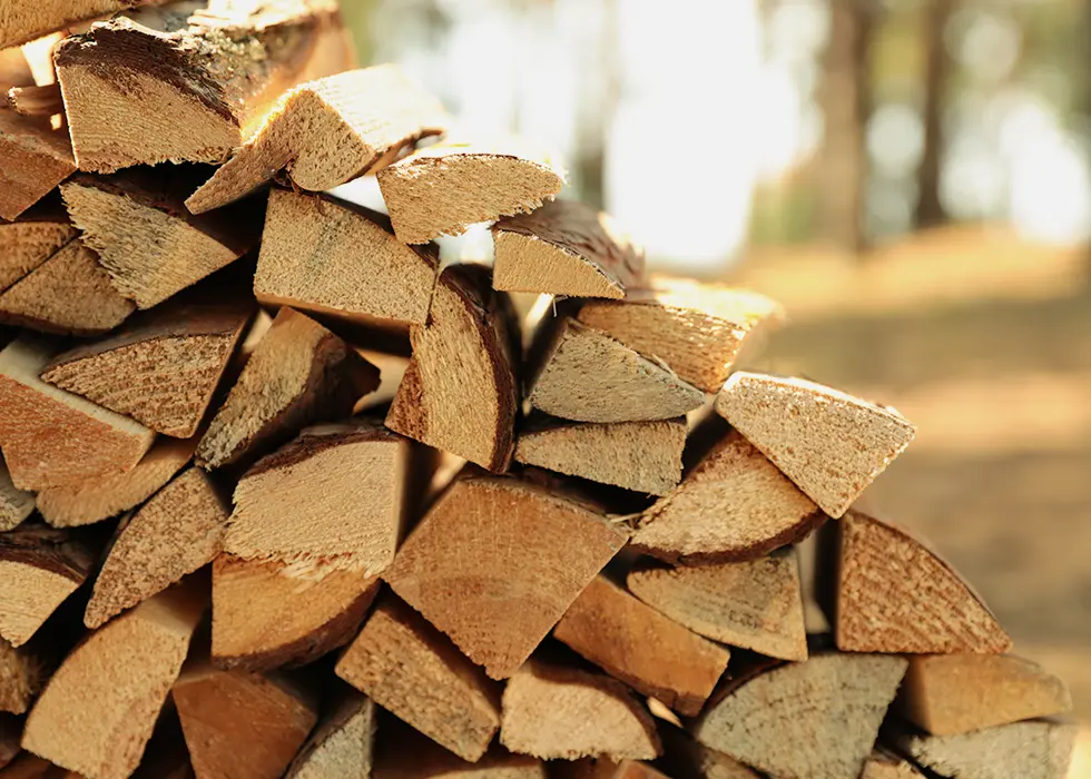 Tas de bois