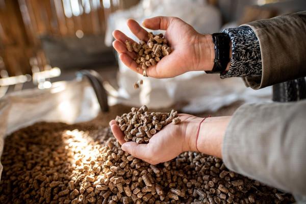Comment choisir un bon fournisseur de pellets en Belgique ?