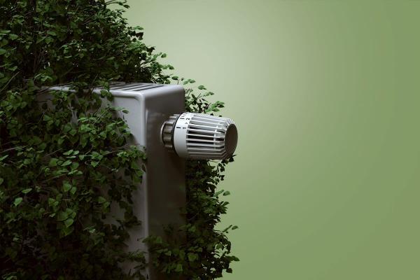 Quelles sont les alternatives écologiques au mazout de chauffage ?